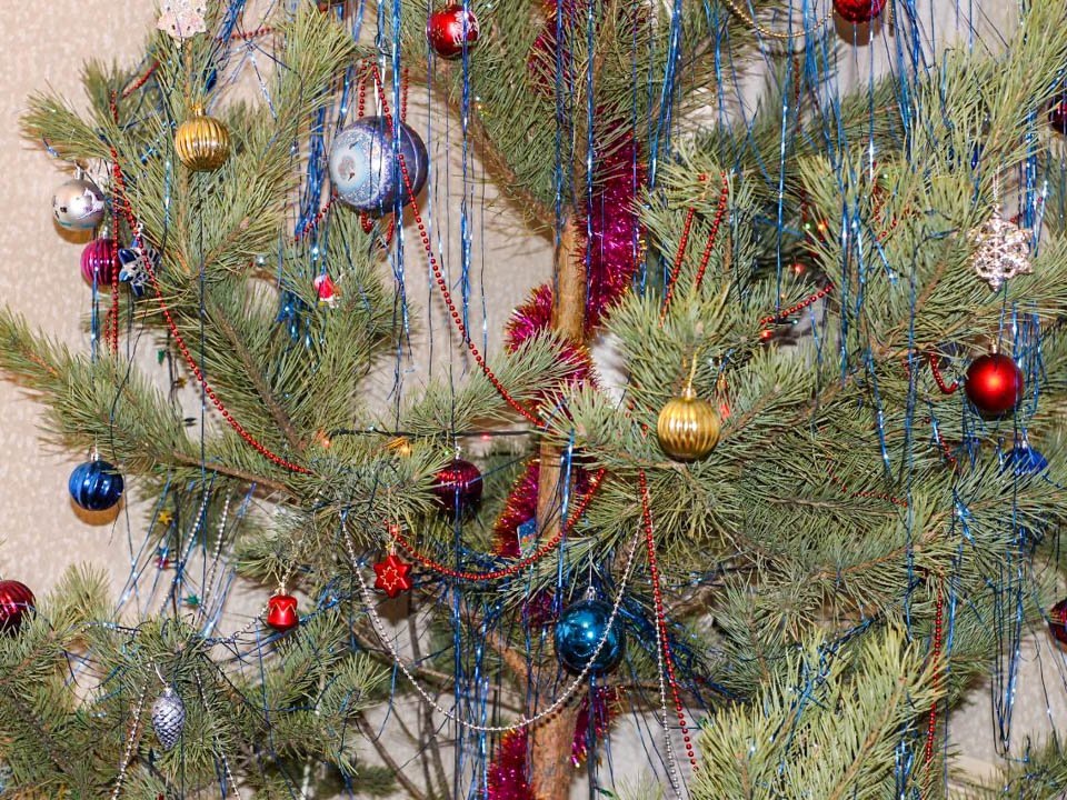    Фото: REGIONS/Эльвира Сафина