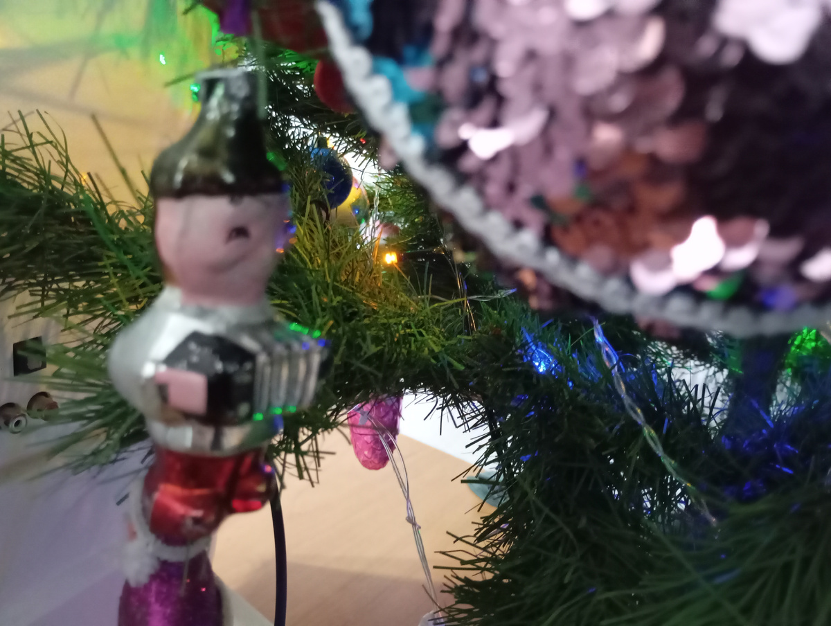 Фото автора.