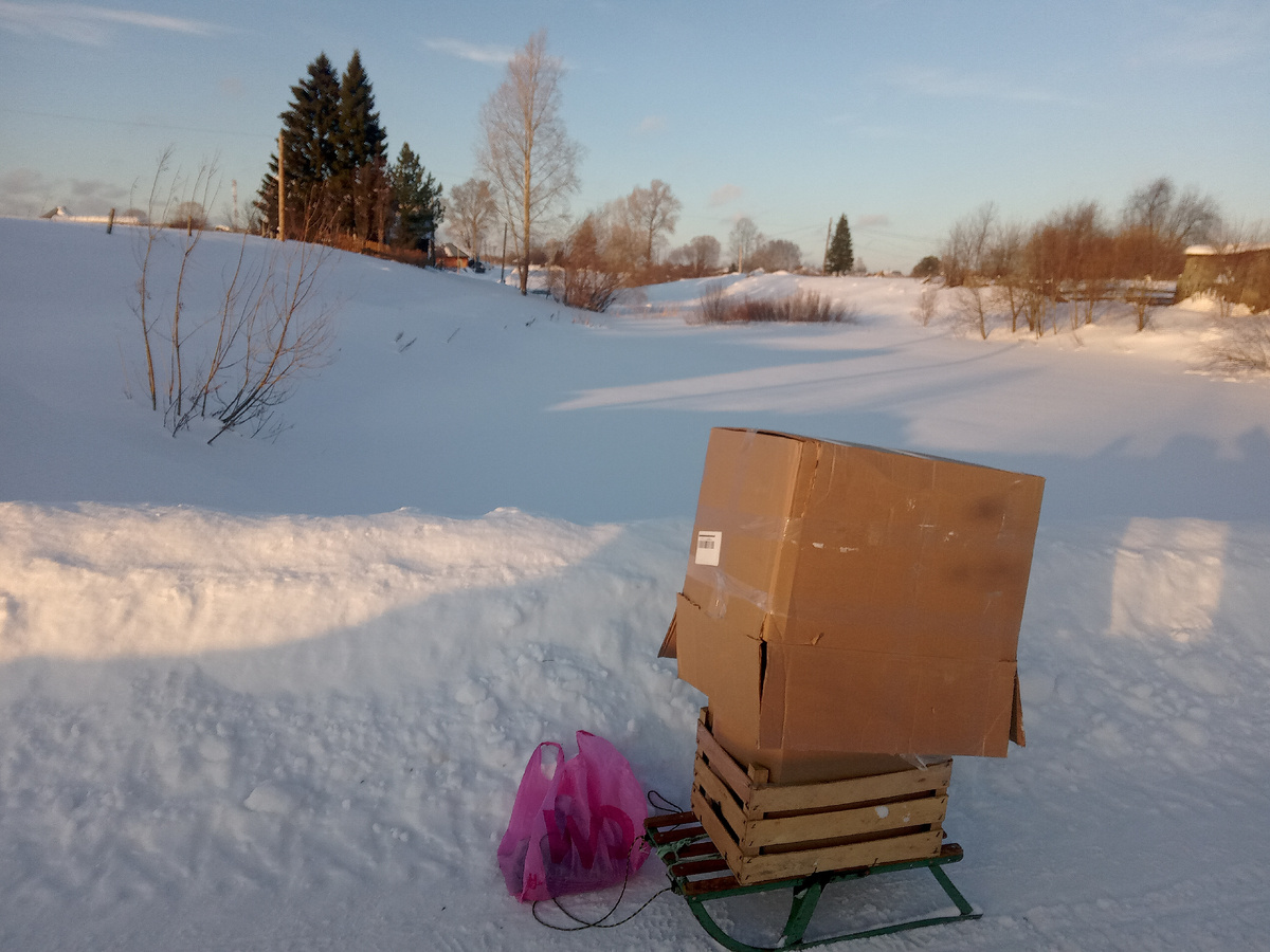 Это я везу с пвз картон, на заднем плане замерзший пруд и ёлки