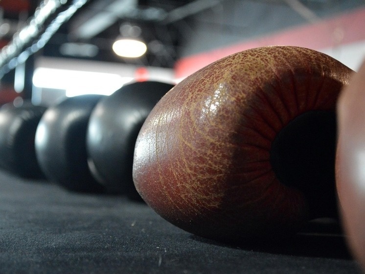     Фото: pixabay.com