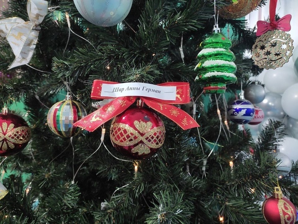    В школе N3 в Осинниках, где в 1939-40-м работала учителем мама будущей мировой звезды и куда приходила, маленькой, Анна Герман, каждый год вешают на елку шар Анны. Фото - архив школы N3 (Осинники).