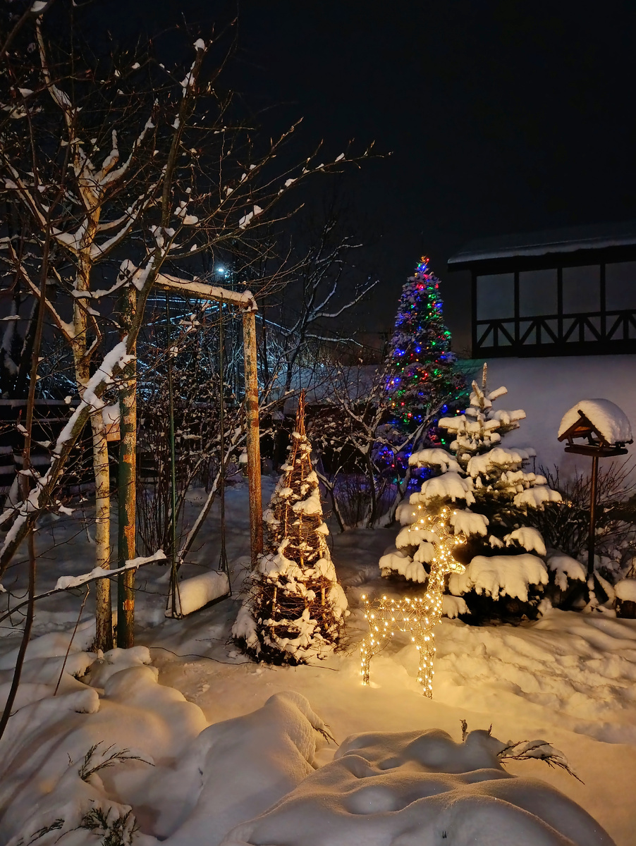 Мой сад, фото автора