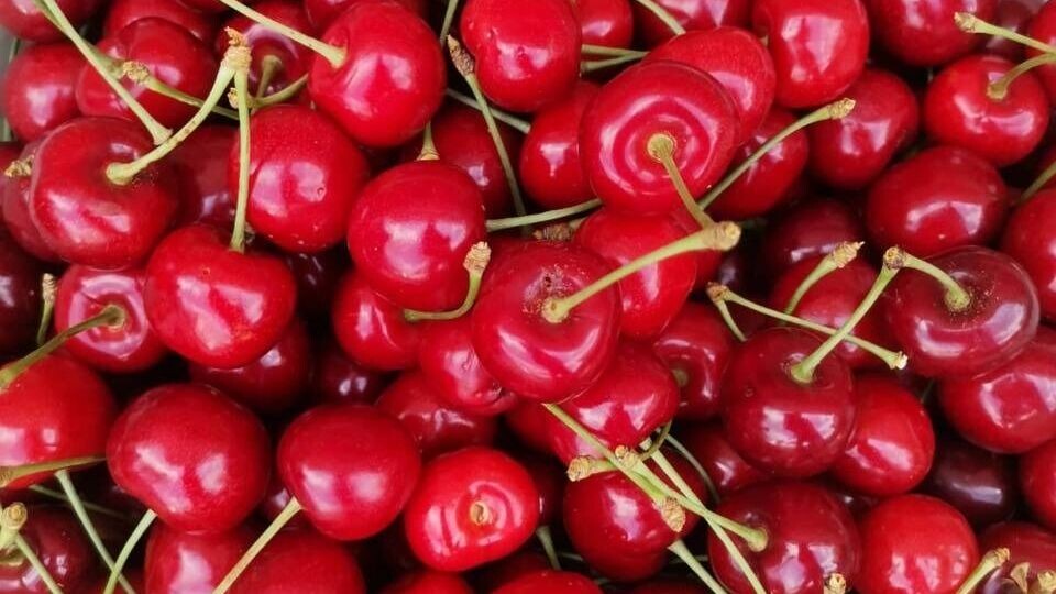    К Новому году готовились с лета: собирали урожай, варили компоты, варенья на зиму.   Анна Ивченко / rostovgazeta.ru