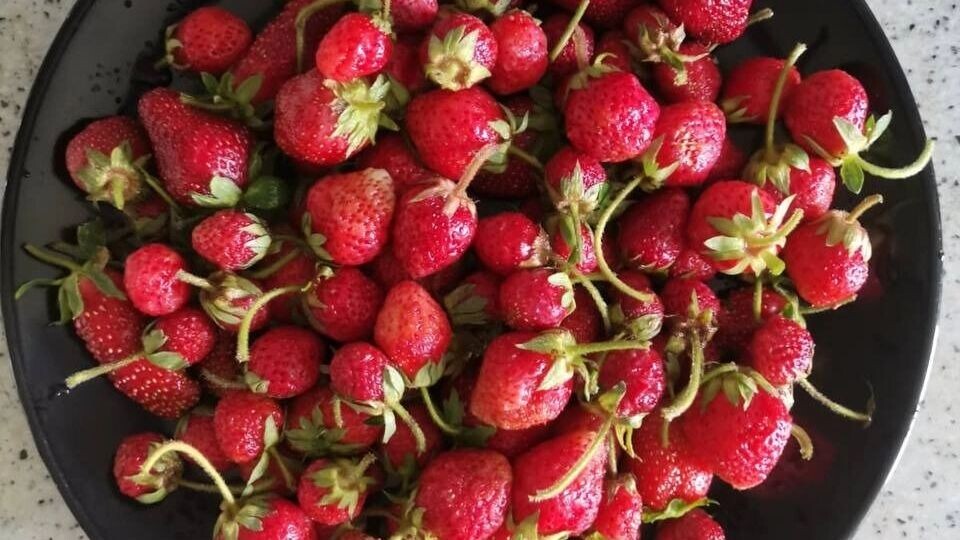    К Новому году готовились с лета: собирали урожай, варили компоты, варенья на зиму.   Анна Ивченко / rostovgazeta.ru