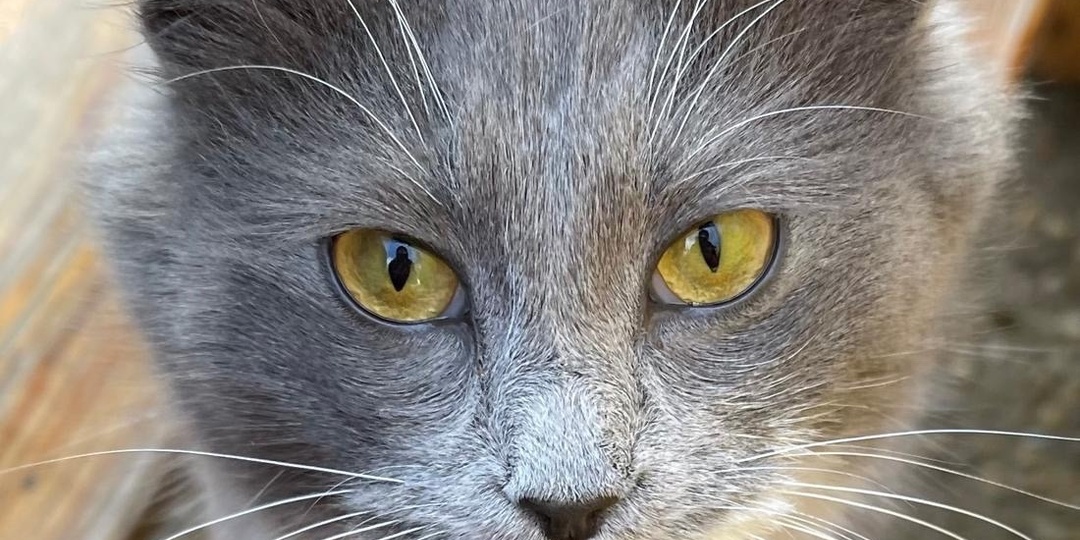 15 февраля поход к водопадам Жане и горе Нексис