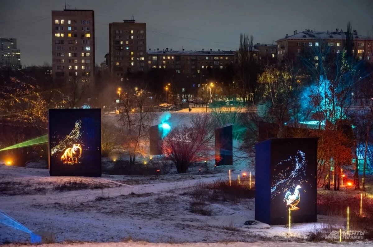   После первых новогодних дней, к середине первой декады, в Москву придет потепление.