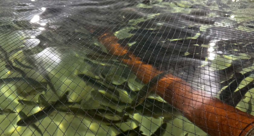    Фото Минсельхоза Коми