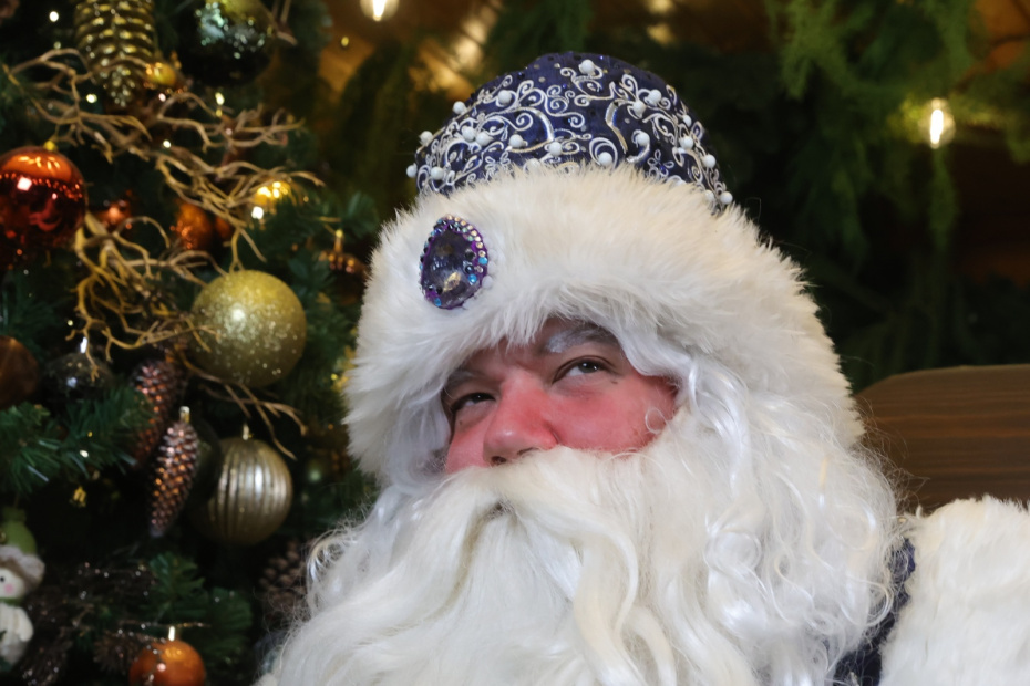    Наталья Шатохина/NEWS.ru