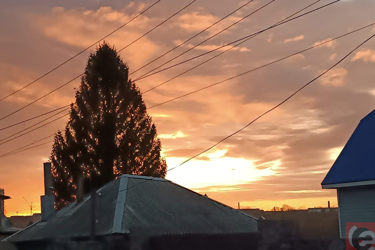    Фото: Прецедент