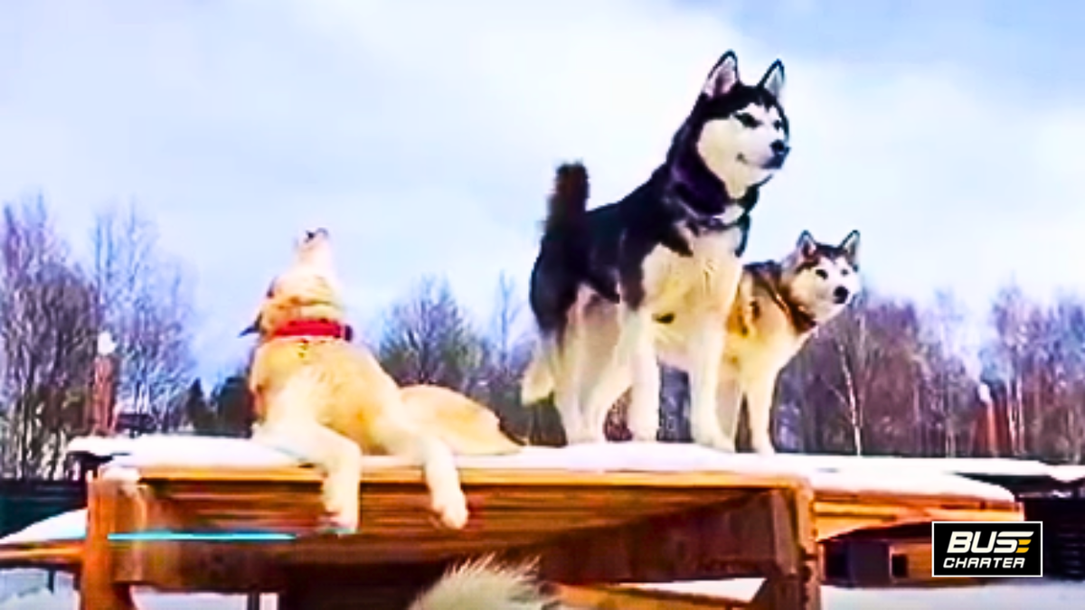 Где отдохнуть в России недорого, Бюджетные туры из Москвы