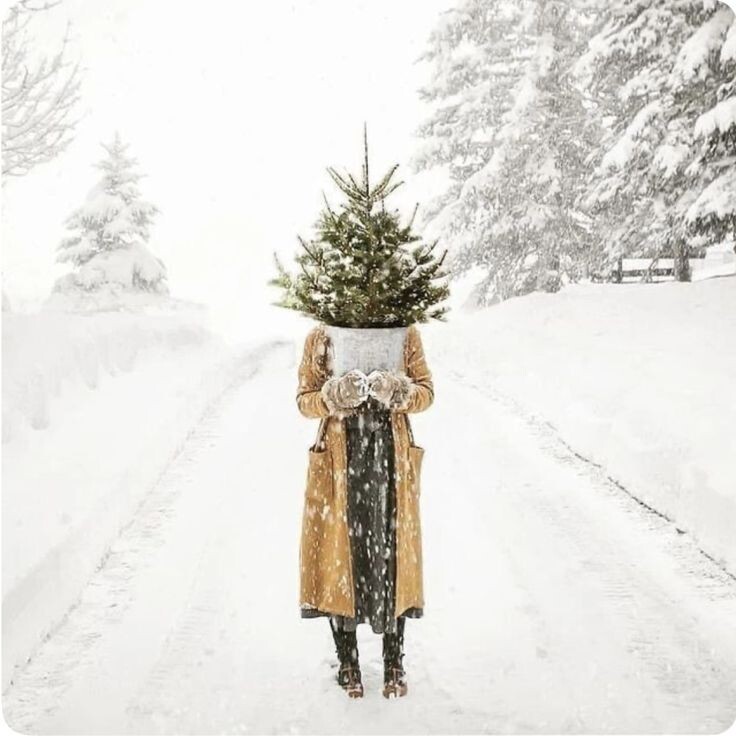 Фото из Pinterest