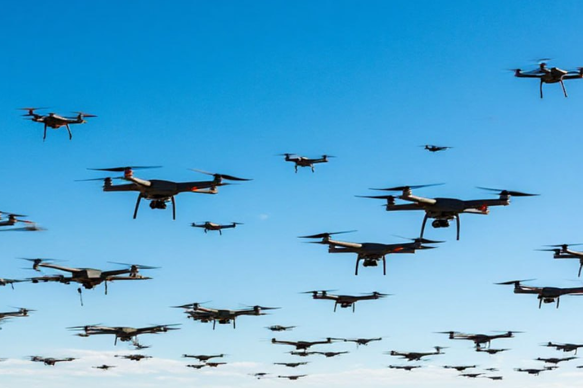    Фото: Коллаж RuNews24.ru