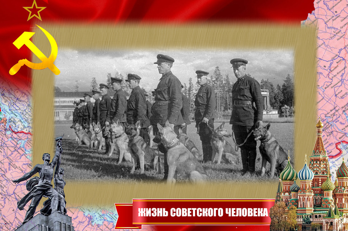 Подготовка собак в особых батальонах