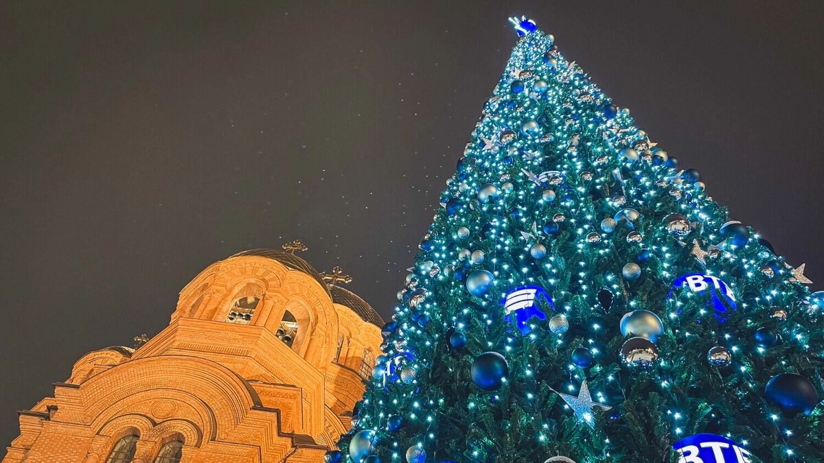    Главная городская елка выросла у храма Александра Невского   novostivolgograda.ru