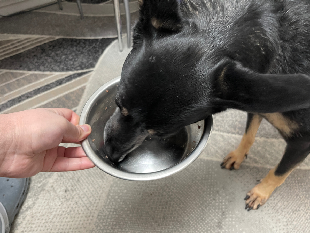 Тут мне Миша миску держит, чтобы я всё доел