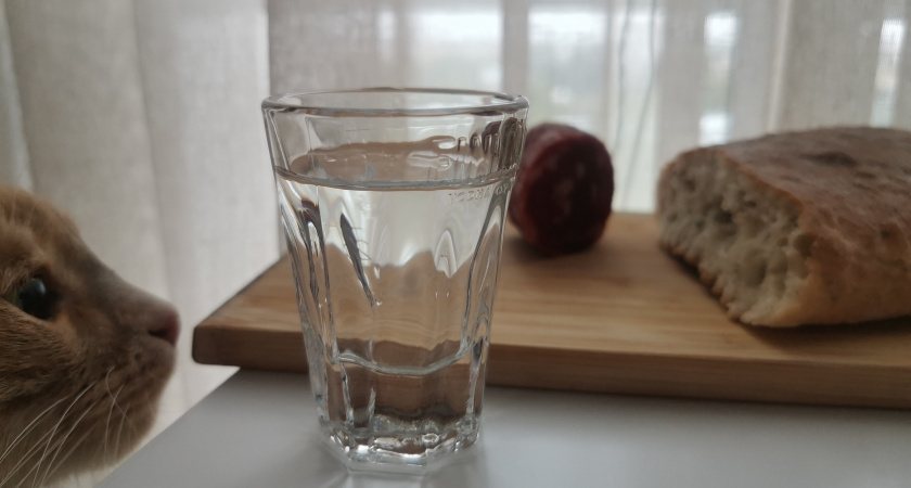    Фото из архива редакции