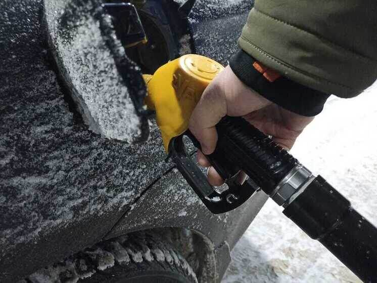     Бензин АИ-92 подорожал за год на 2,06%. Фото: архив МК в Питере