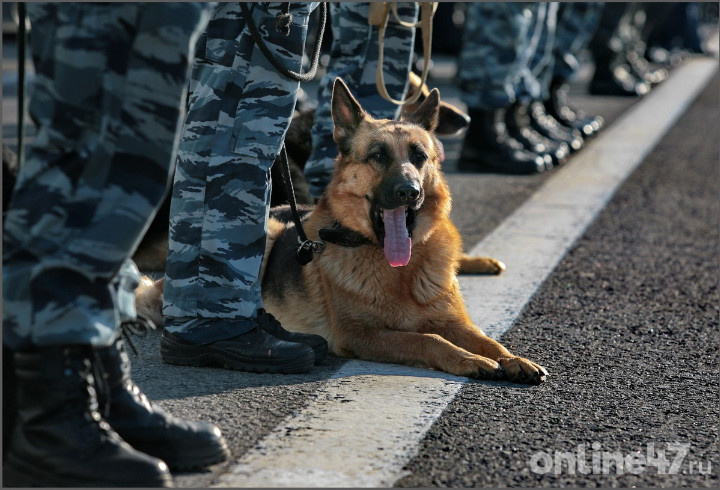 фото: Валентин Илюшин/Online47
