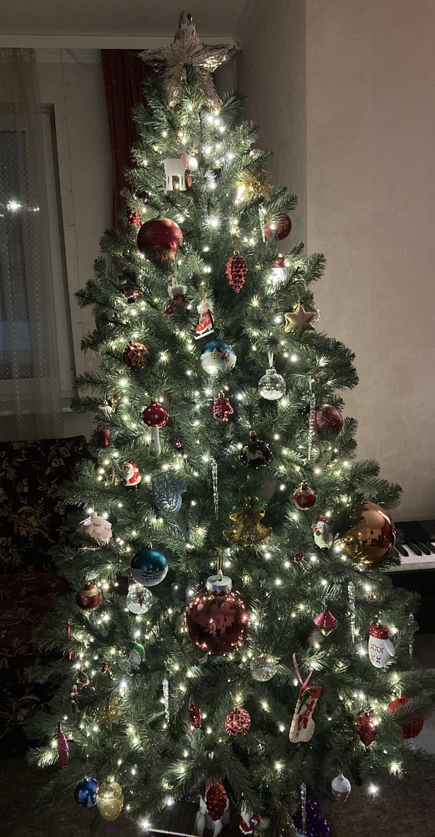 Наша елочка