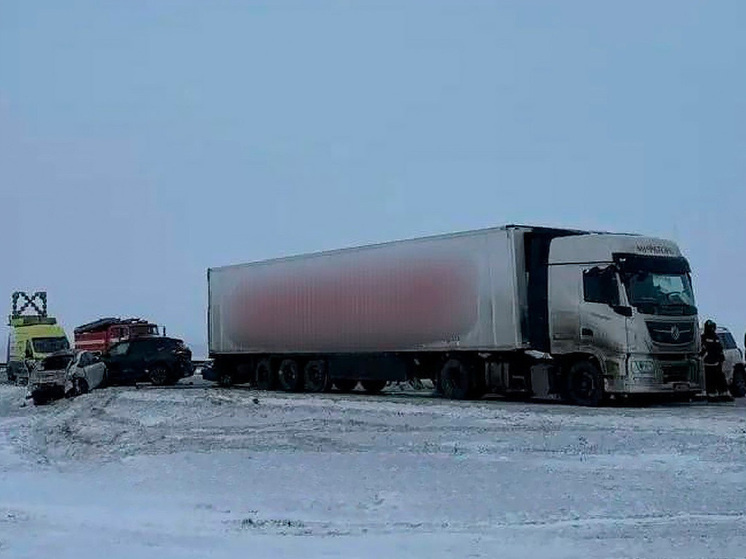     фото: Официальный канал Госавтоинспекции Липецкой области