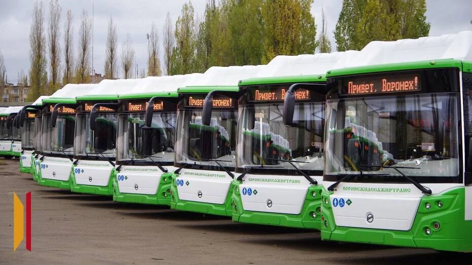    Автор фото: из архива РИА «Воронеж»