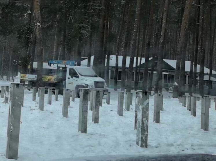     Источник: правительство Тамбовской области