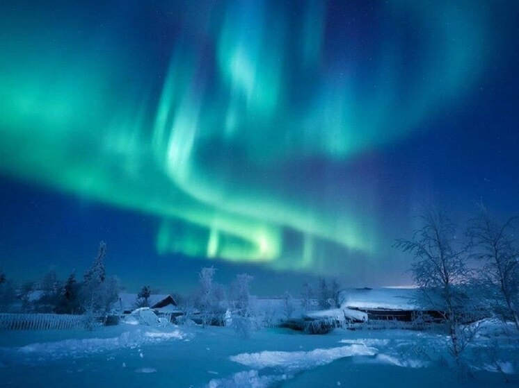     Фото: Нейросеть