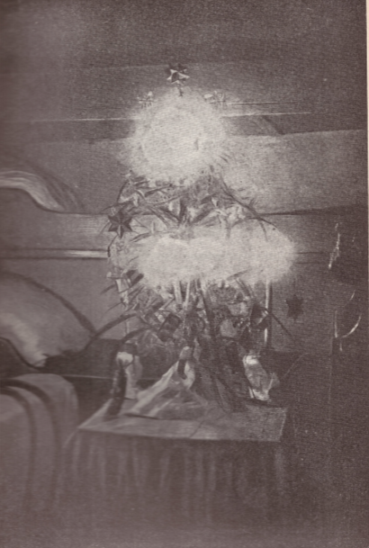 Рождественская ёлка на "Таймыре", иллюстрация из книги Старокадомского
