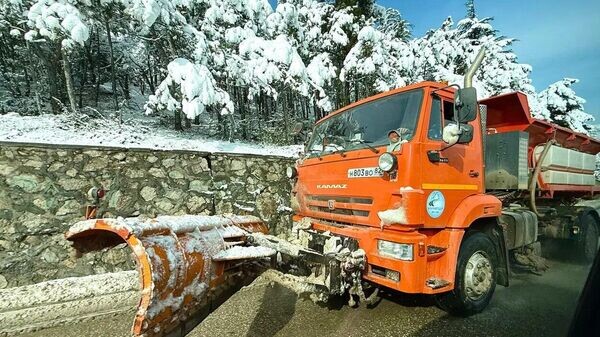    © Telegram-канал главы администрации Ялты Янины Павленко