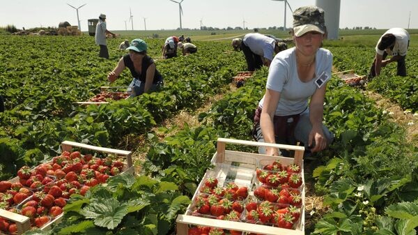    © AP / Matthias Rietschel