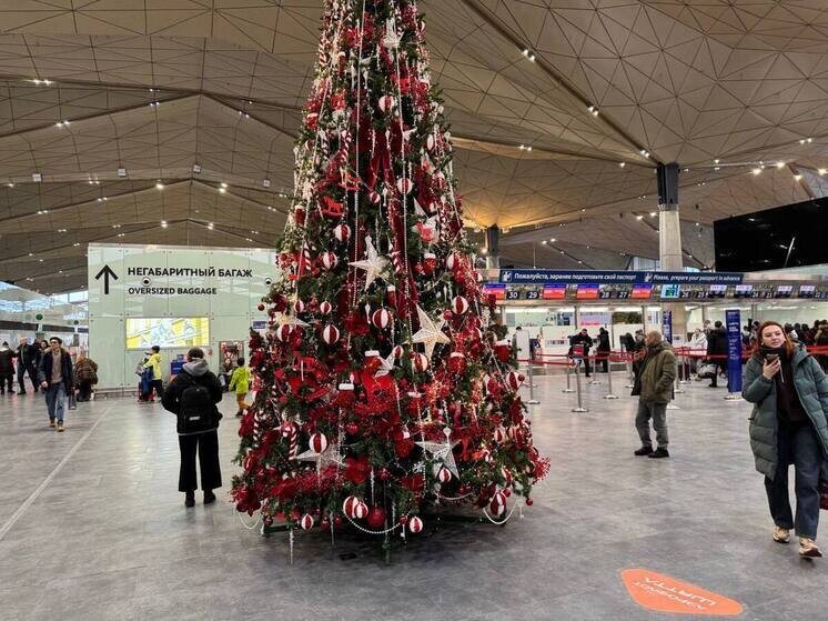     Пассажиры в костюмах Дедов Морозов и Снегурочек могут улететь бесплатно. Фото: пресс-служба Пулково