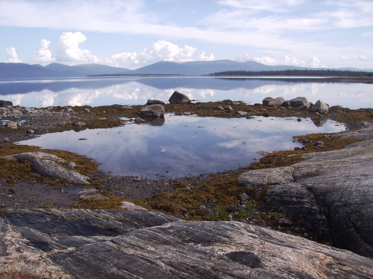 (источник: goarctic.ru)