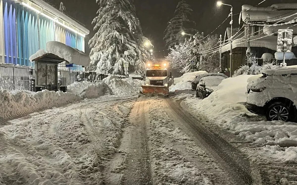    Фото t.me/officialsochi