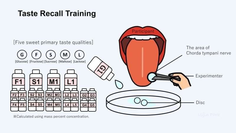    Процедура тренировки запоминания вкуса сладкого.