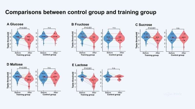    Сравнение изменений порогов восприятия вкуса между тренировочной и контрольной группами для каждого вкуса.