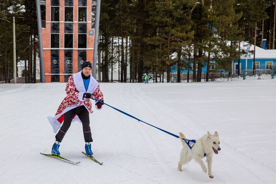    Фото: Светлана Ардымская.