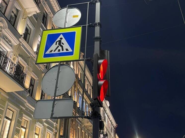     Вертикальная «Стоп-линия» важна для центральной части города, где горизонтальные знаки 6.16 неуместны. Фото: архив МК в Питере