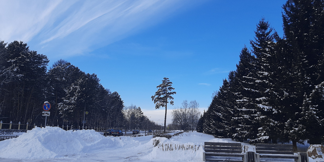 "Вот и ждём мы, словно дети, что цветной зажжётся круг." С Новым годом!!!