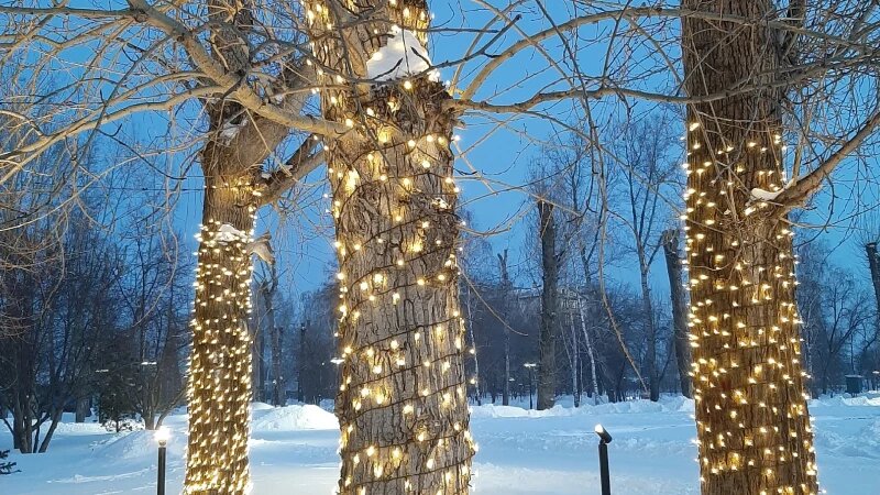     В Изумрудном парке на Новый год Лариса Васильева