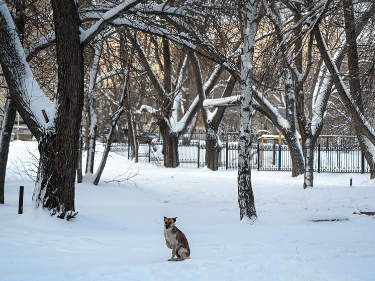     Фото: Людмила Ковалева (из архива «Южноуральской панорамы»)