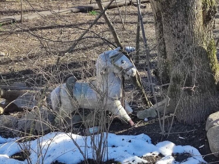     Если хотите поддержку Огненной красавицы, то можно купить маленькую красную лошадку-сувенир и носить ее в сумочке. Фото: Архив МК в Великом Новгороде