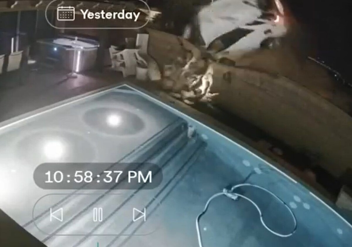     / Источник: © Кадр из видео