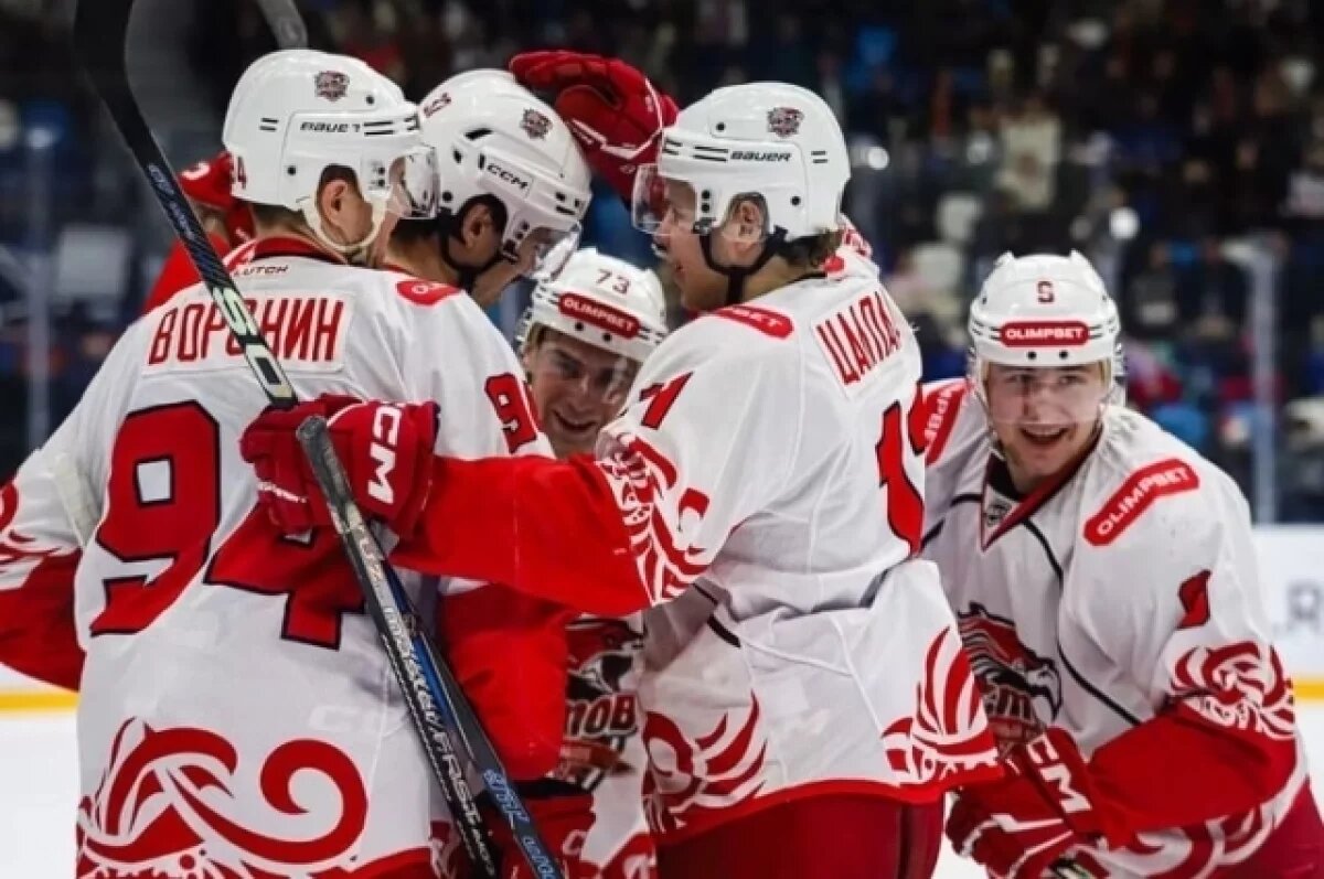    Более тысячи человек поддержали петицию за сохранение ХК «Ростов» в ВХЛ