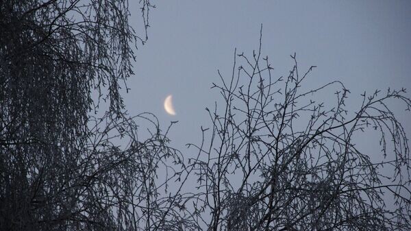    © Sputnik / Сергей Пушкин