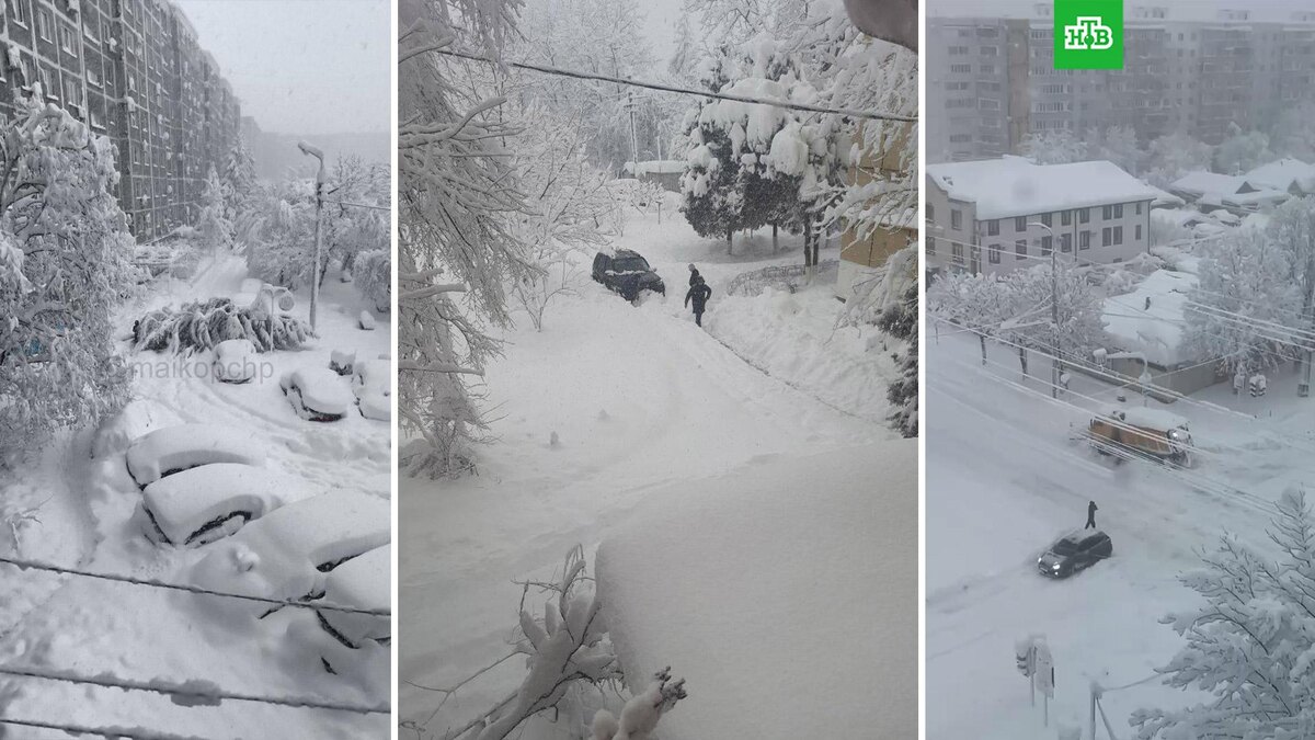    Фото: maikopchp / t.me