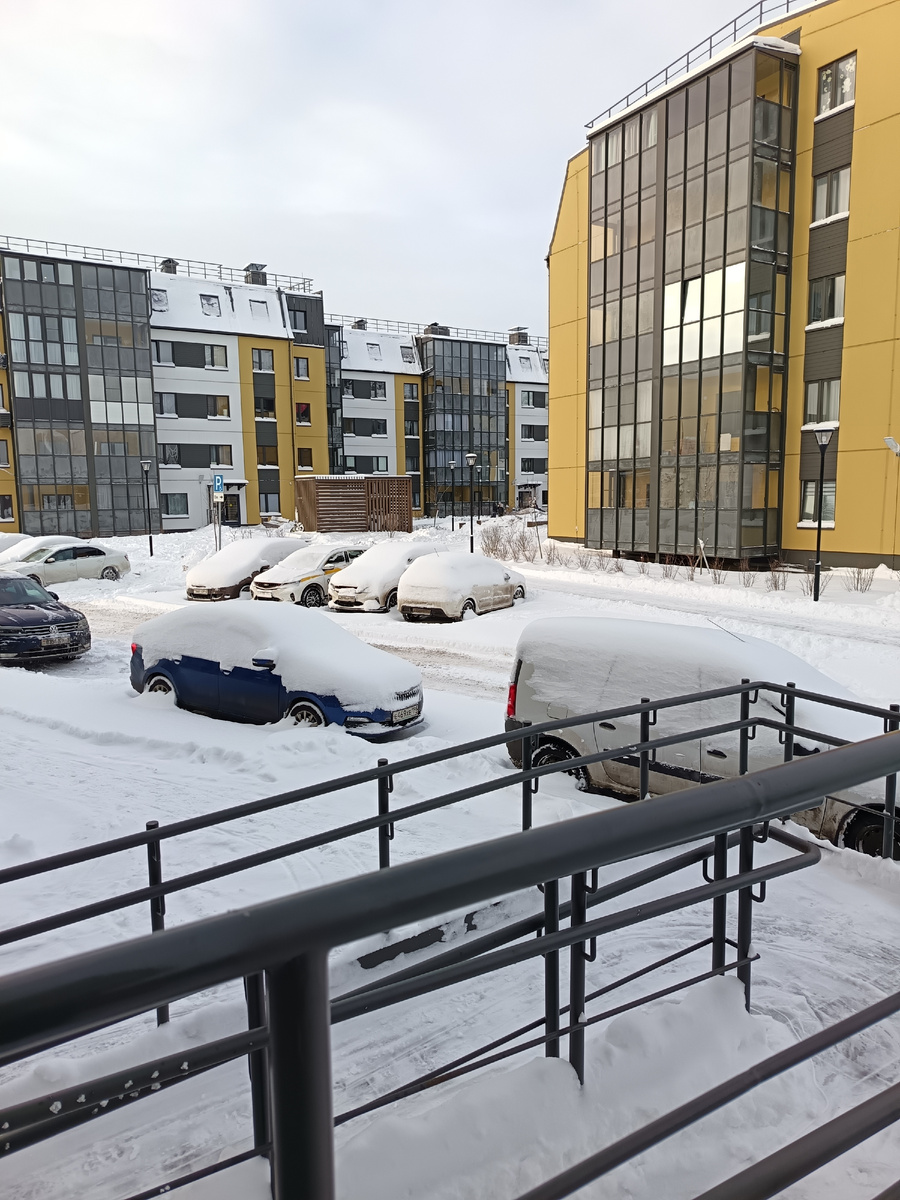 Фото автора статьи 