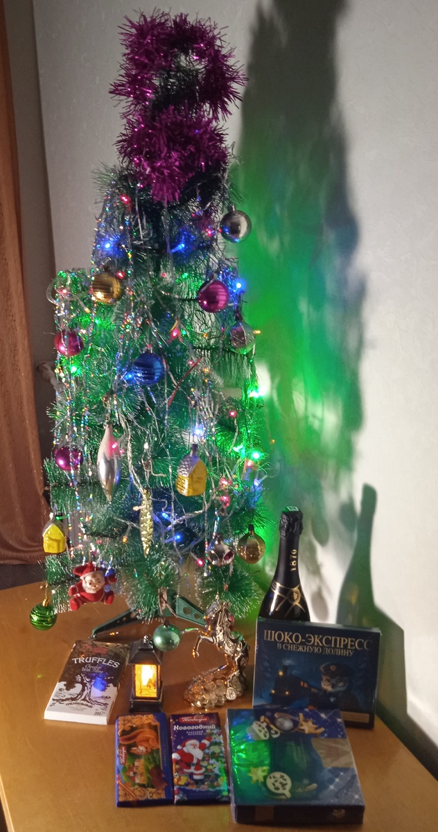 Фото автора, 30 декабря 2025г.