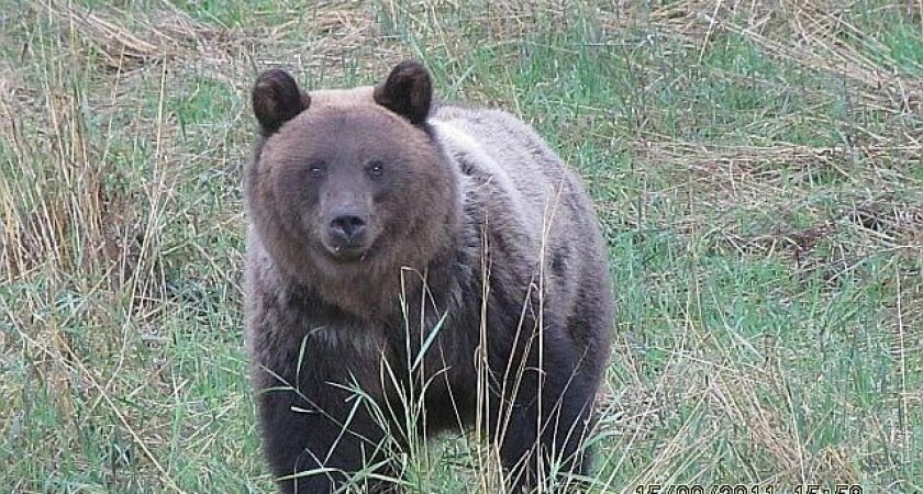    Город Киров.ru