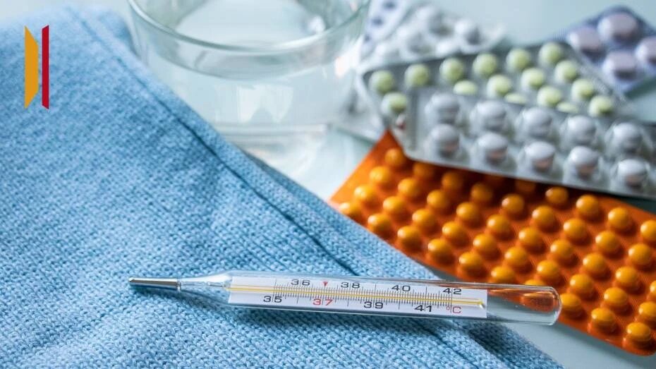    Автор фото: Виктория Курляндская (из архива)