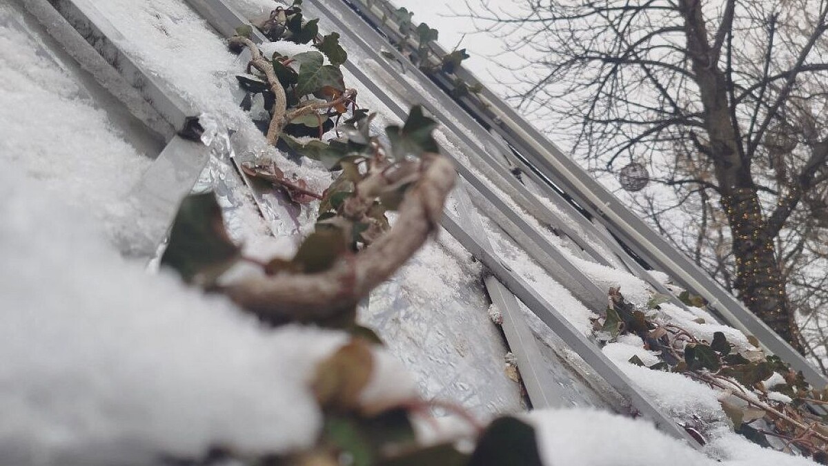    Фото: телеканал «Краснодар»